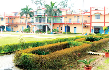 A school in the school (separate buildings for primary and senior wings)